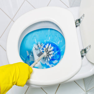 Toilet Cleaners