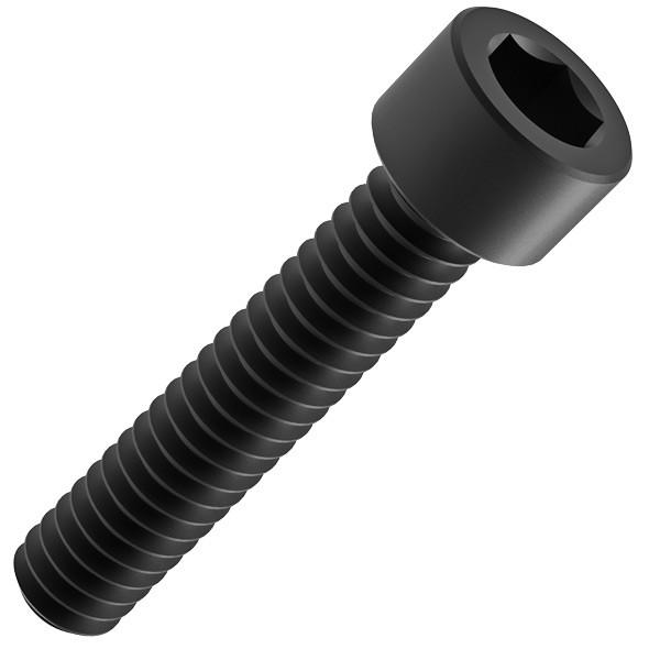 M10 Black Oxide Socket Head Screws (EBRO)