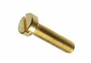 M4 Brass Cheese Head Slotted Screws Pack of 100