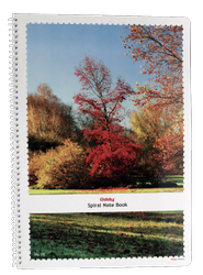 SPA440 1/4 Spiral Paper NoteBook 40 Sheets