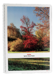 SPA440 1/4 Spiral Paper NoteBook 40 Sheets